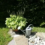 Bachkeusche *